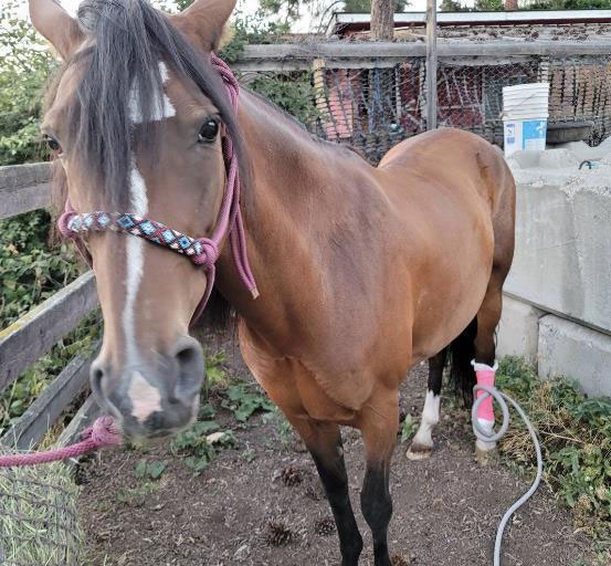 $5000 Surgery Avoided